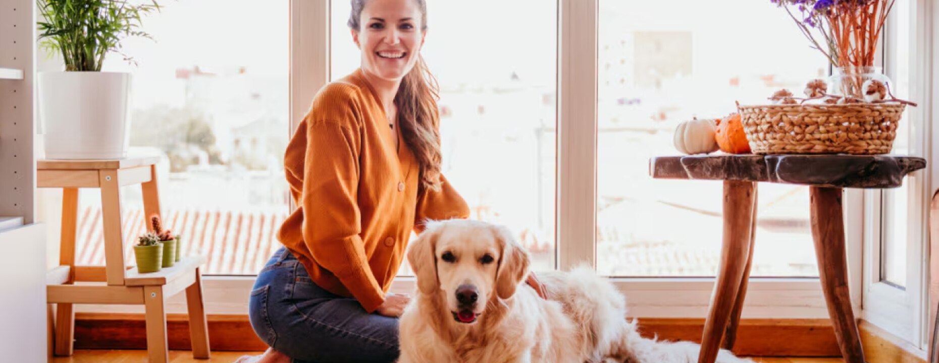 C&oacute;mo cuidar de tu perro anciano