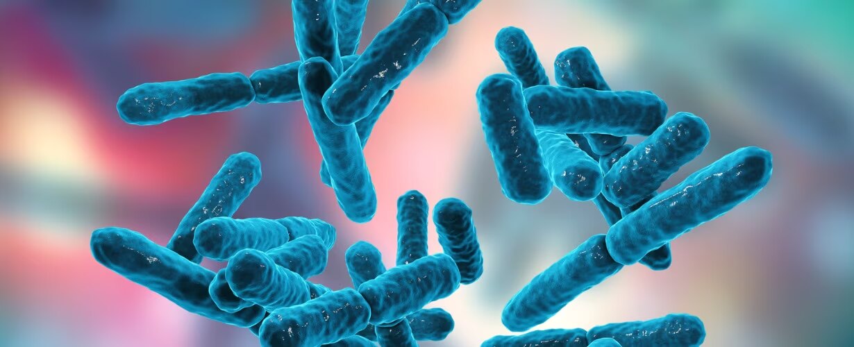 Conoce los 10 beneficios m&aacute;s importantes de los probi&oacute;ticos en nuestra salud