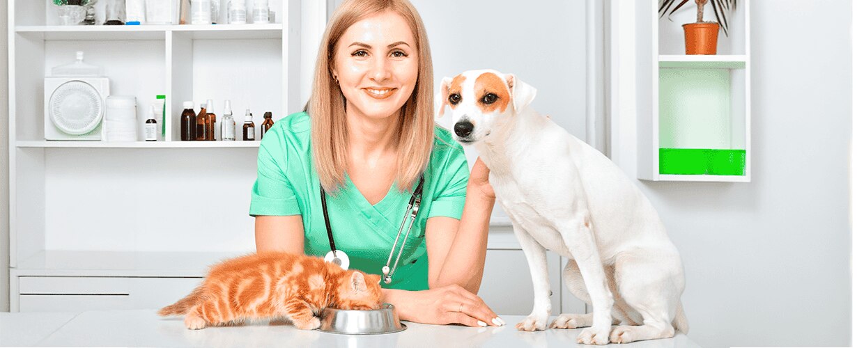 Problemas dentales comunes en mascotas y c&oacute;mo prevenirlos